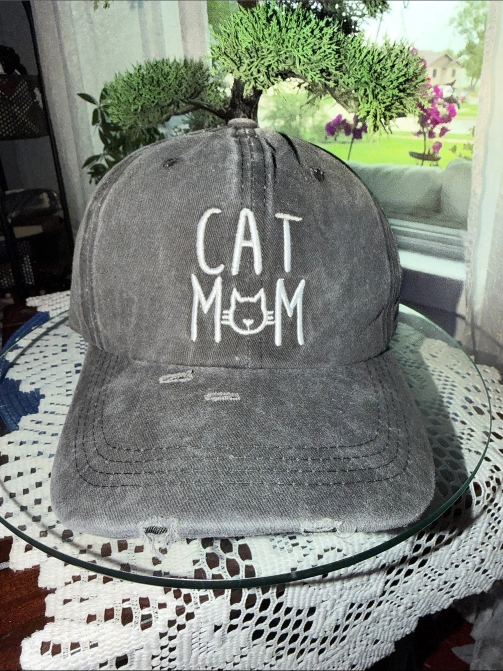 N/A stylish cat